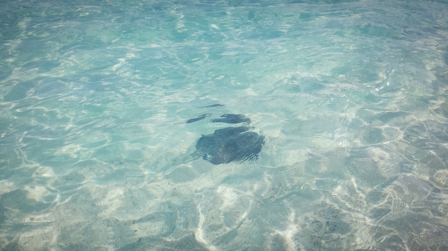 My Weekend in Maldives Fihalhohi