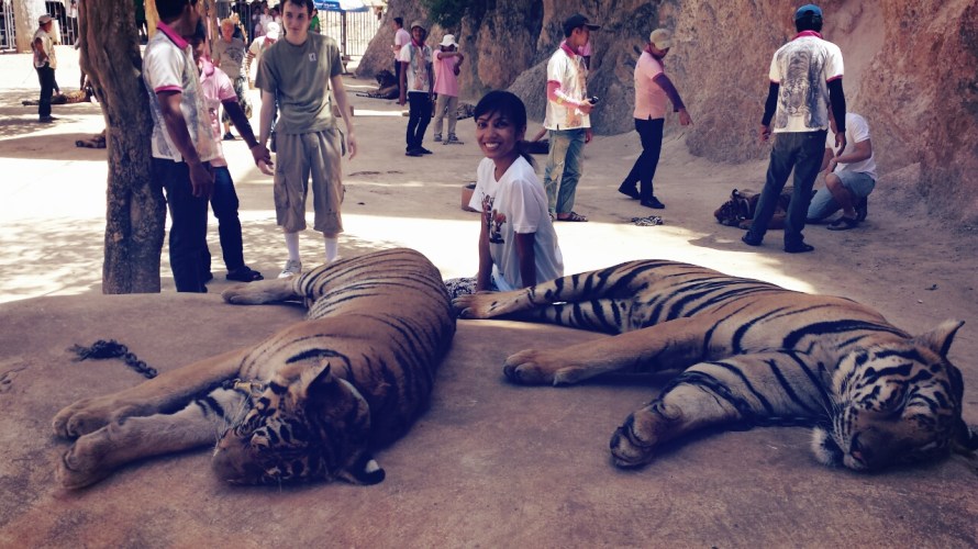 Kanchanaburi Tiger Temple