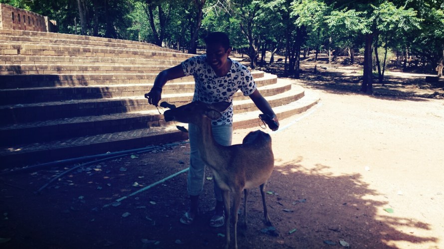Kanchanaburi Tiger Temple