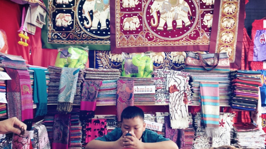 Bangkok Adventures Chatuchak Weekend Market