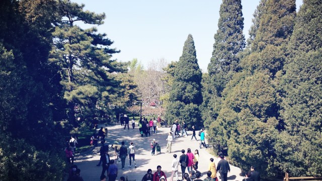 Beijing Springtime Story Summer Palace