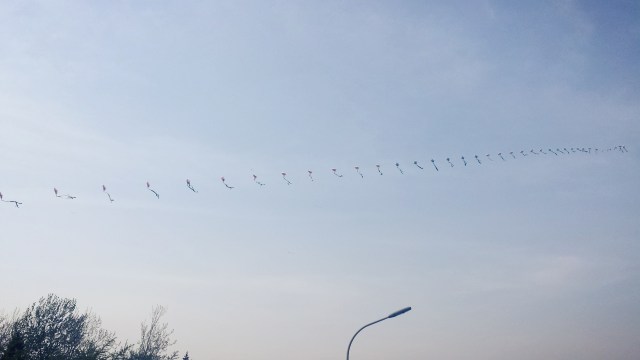 Beijing Springtime Story Pearl Market