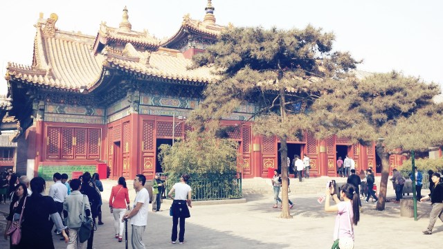 Beijing Springtime Story Yonghe Lamasery Temple