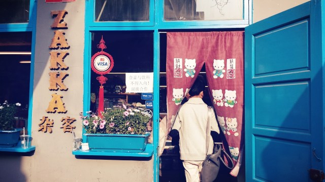 Beijing Springtime Story Hutong