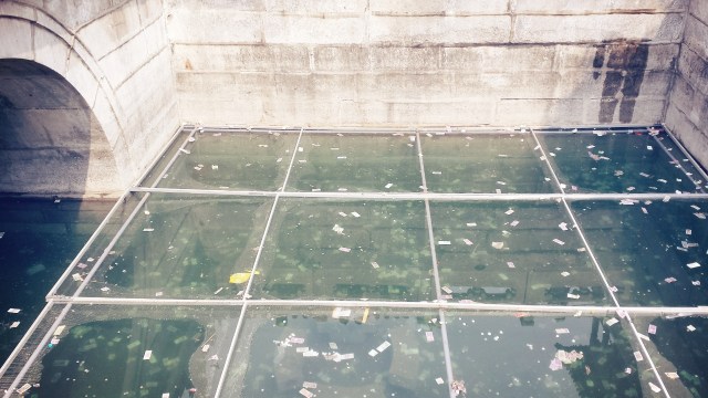 Beijing Springtime Story The Forbidden City