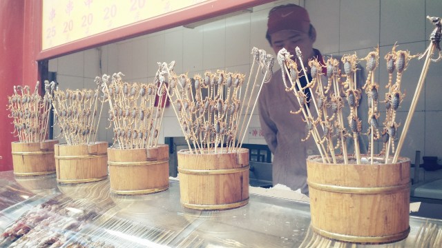 Beijing Springtime Story Wangfujing