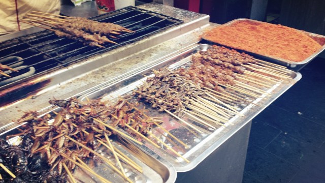 Beijing Springtime Story Wangfujing