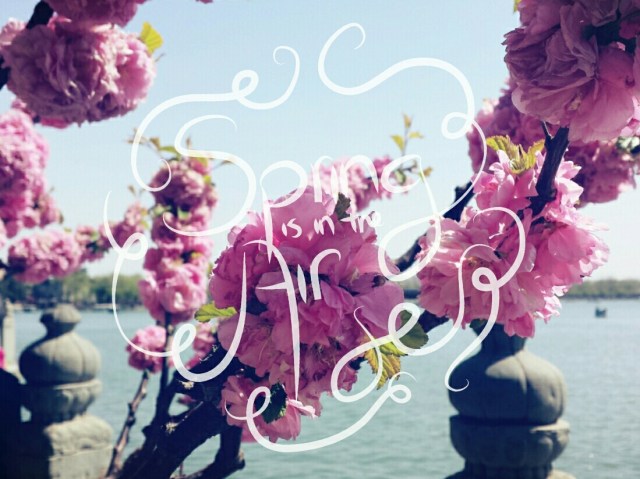 Beijing Springtime Story