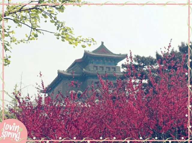 Beijing Springtime Story