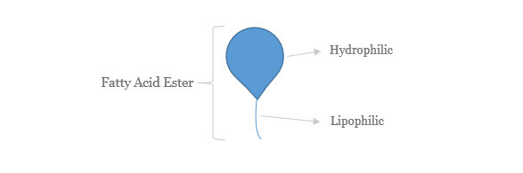 What is Micellar Water?