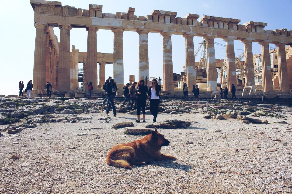 Our First Couplemoon The Acropolis