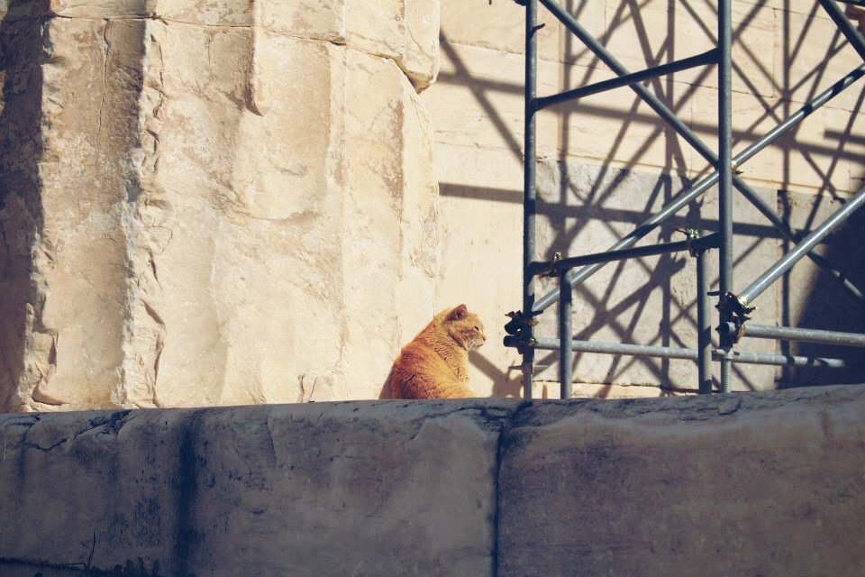 Our First Couplemoon The Acropolis