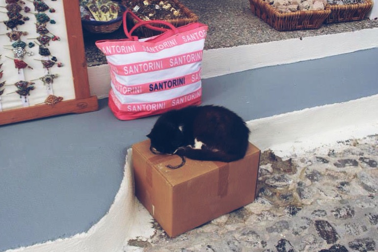 Our First Couplemoon Fira