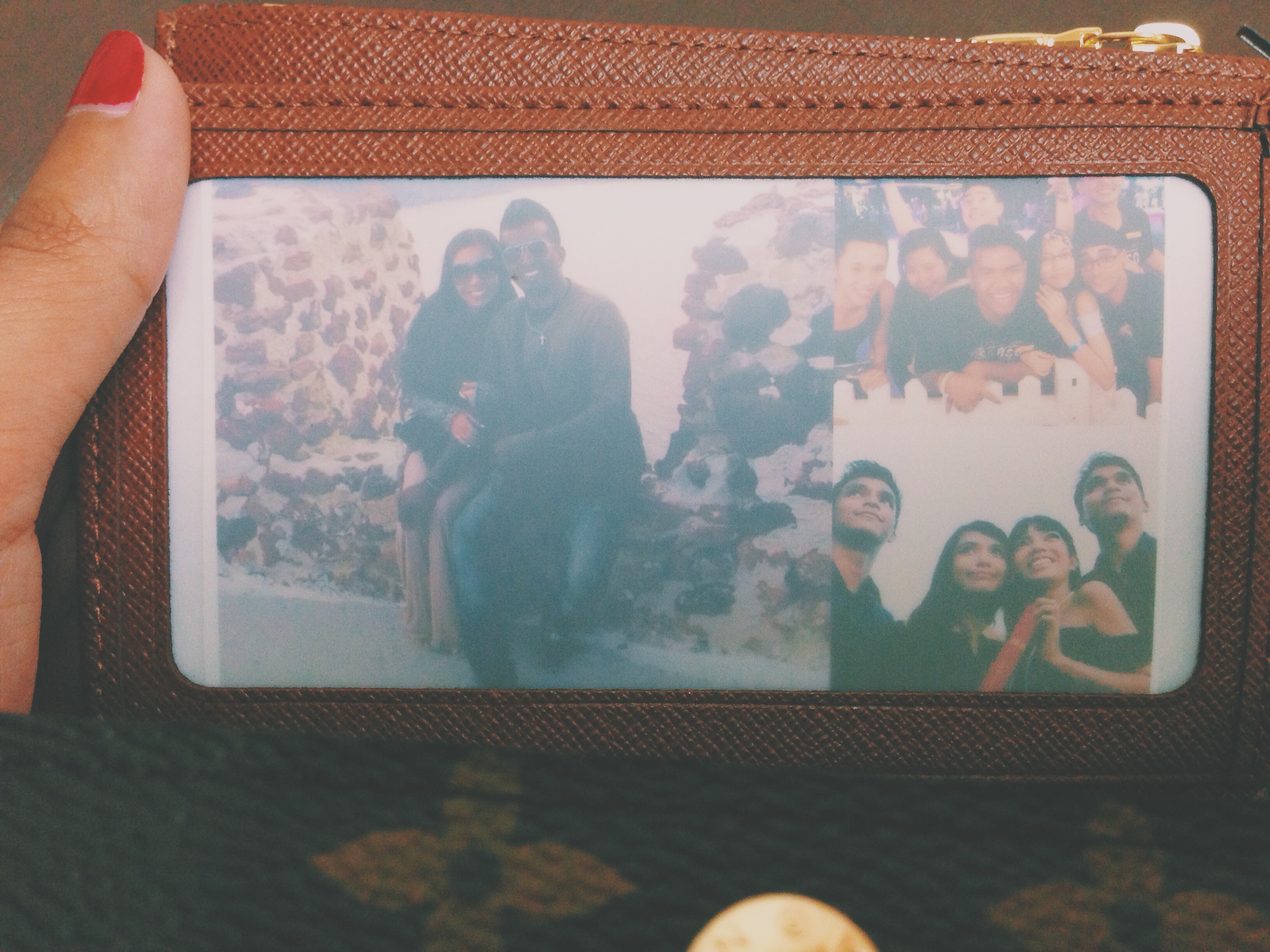 Louis Vuitton Alexandra Wallet