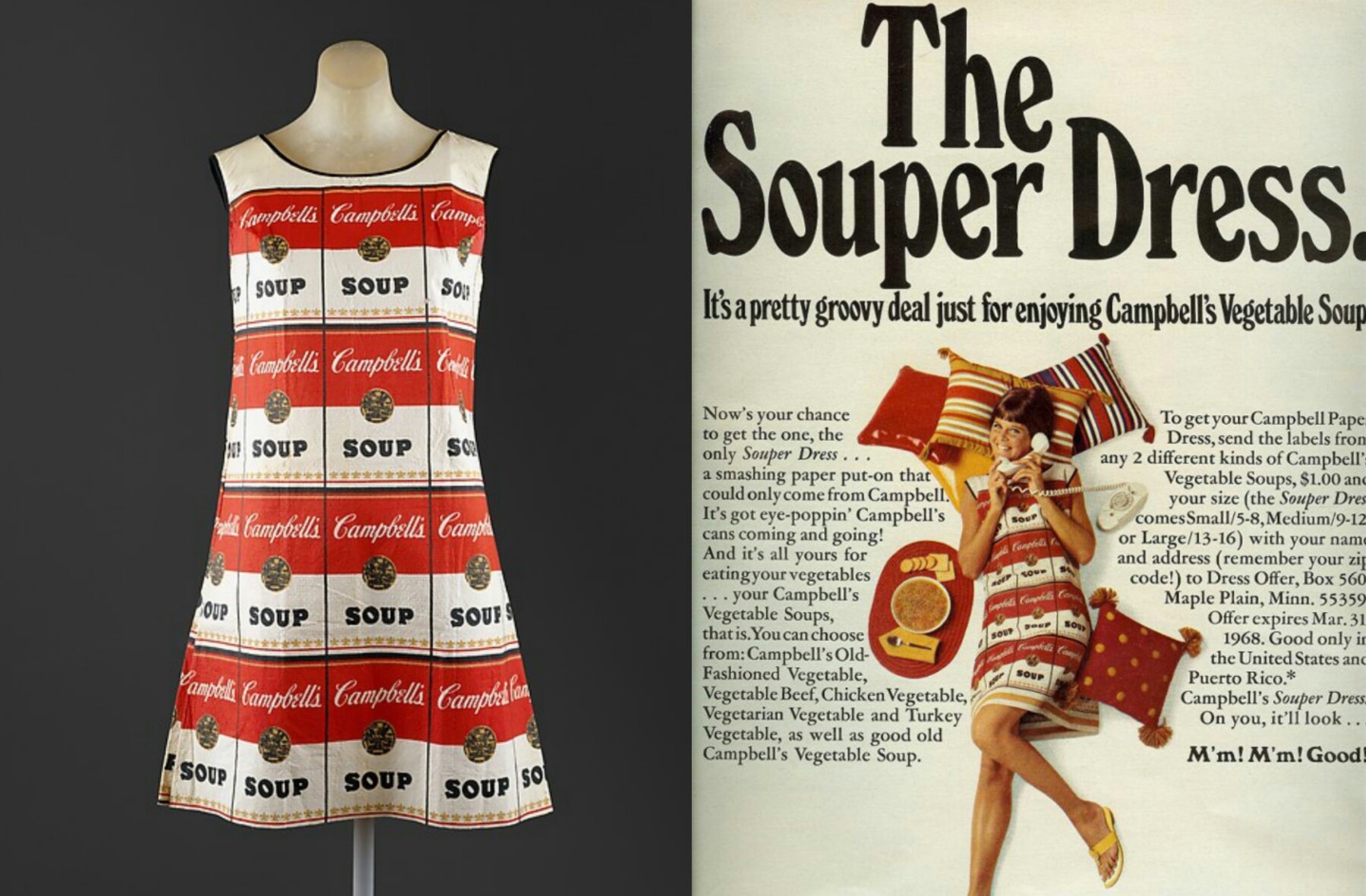Andy Warhol Campbell's The Souper Dress