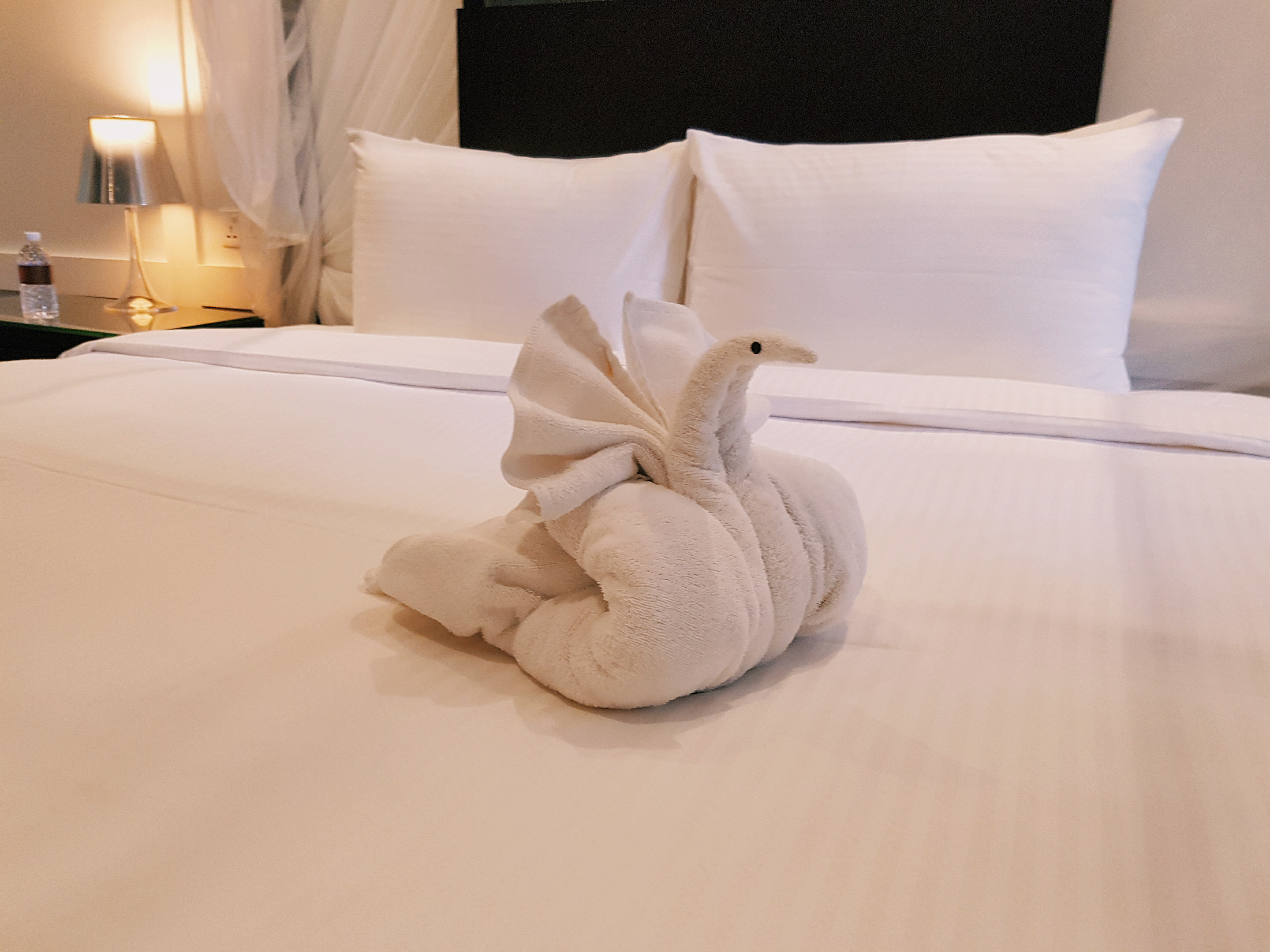 Staycation at Amara Sanctuary Resort Bridesmaid Proposal