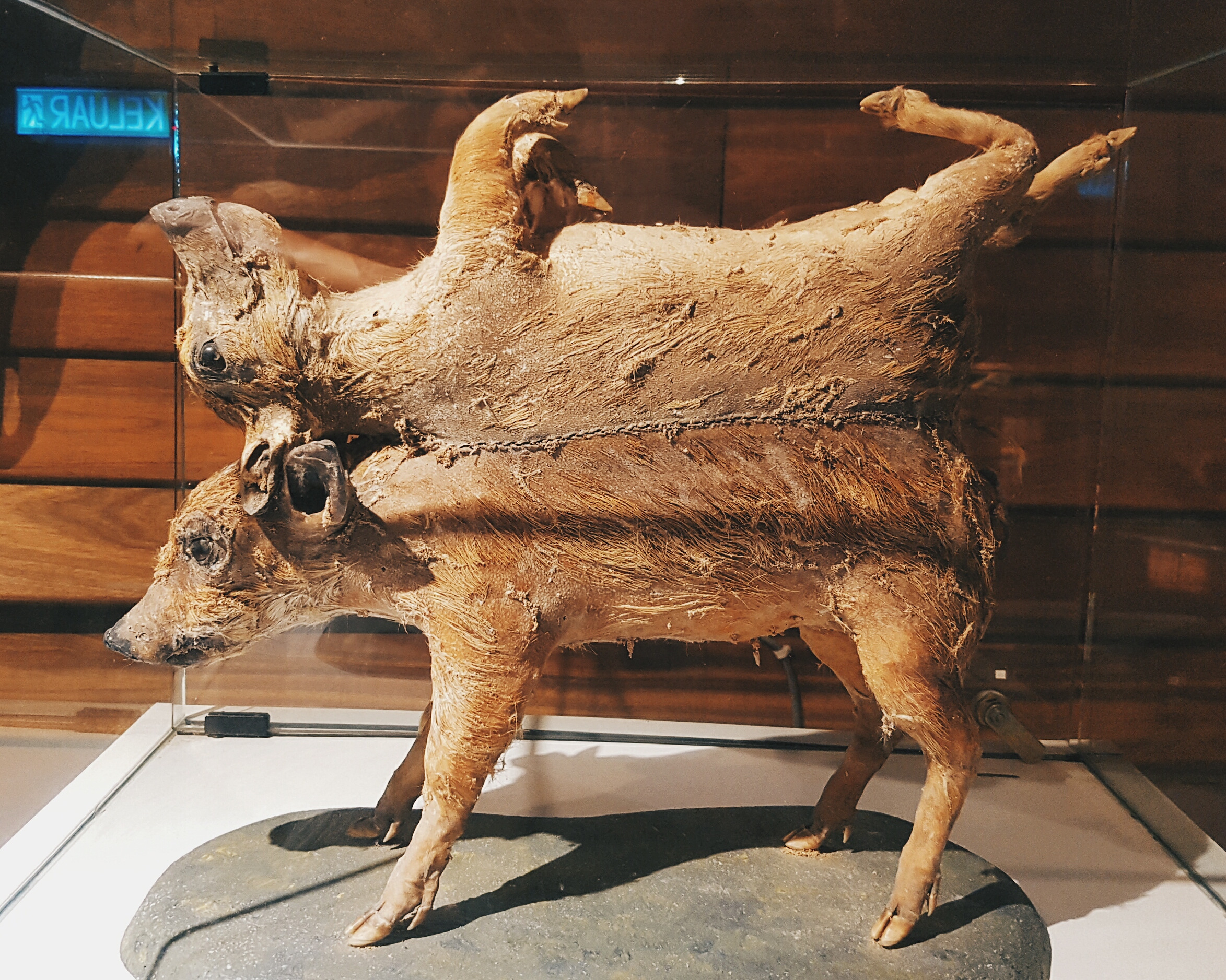 Genting Highland Getaway Ripley's Believe It or Not