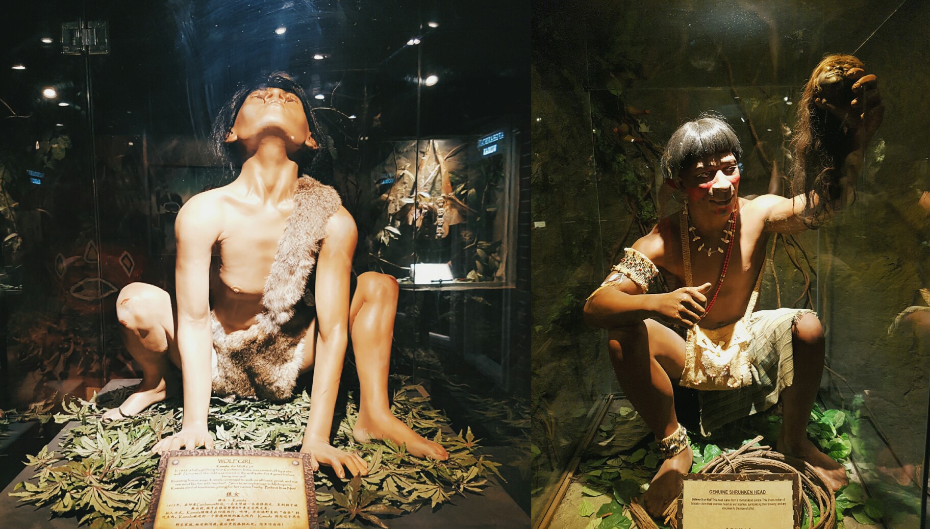 Genting Highland Getaway Ripley's Believe It or Not