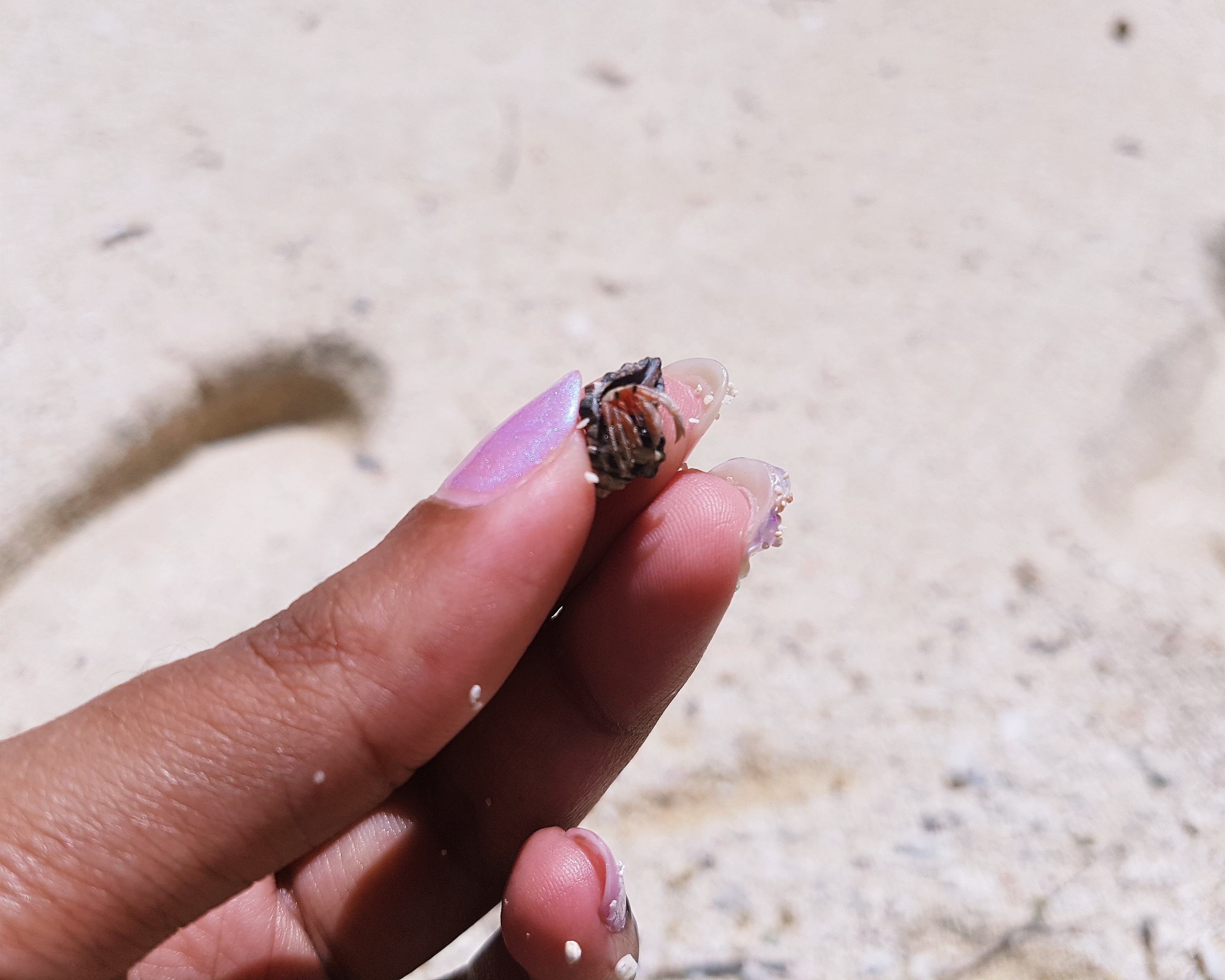 Our Honeymoon in Rayavadee