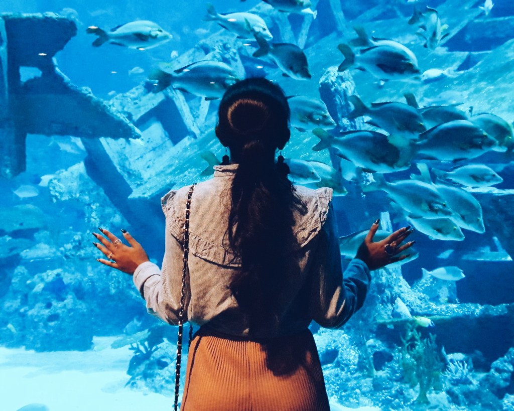 S.E.A. Aquarium at Resorts World&nbsp;Sentosa