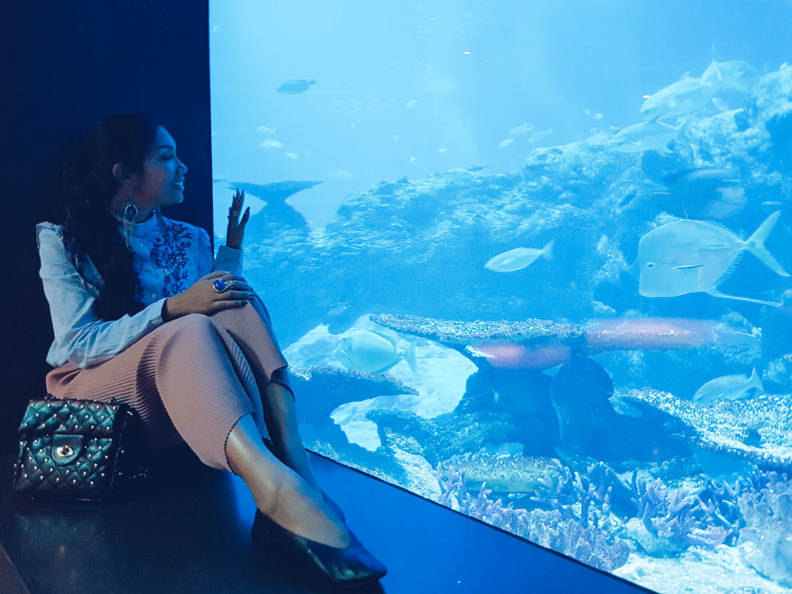 S.E.A. Aquarium at Resorts World Sentosa