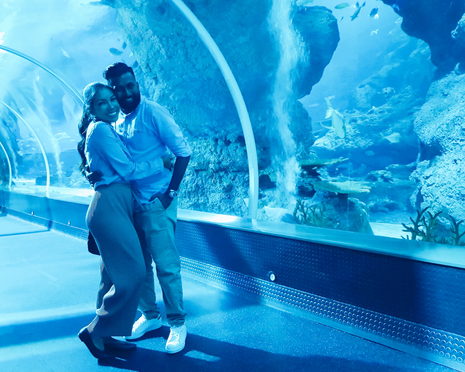 S.E.A. Aquarium at Resorts World Sentosa