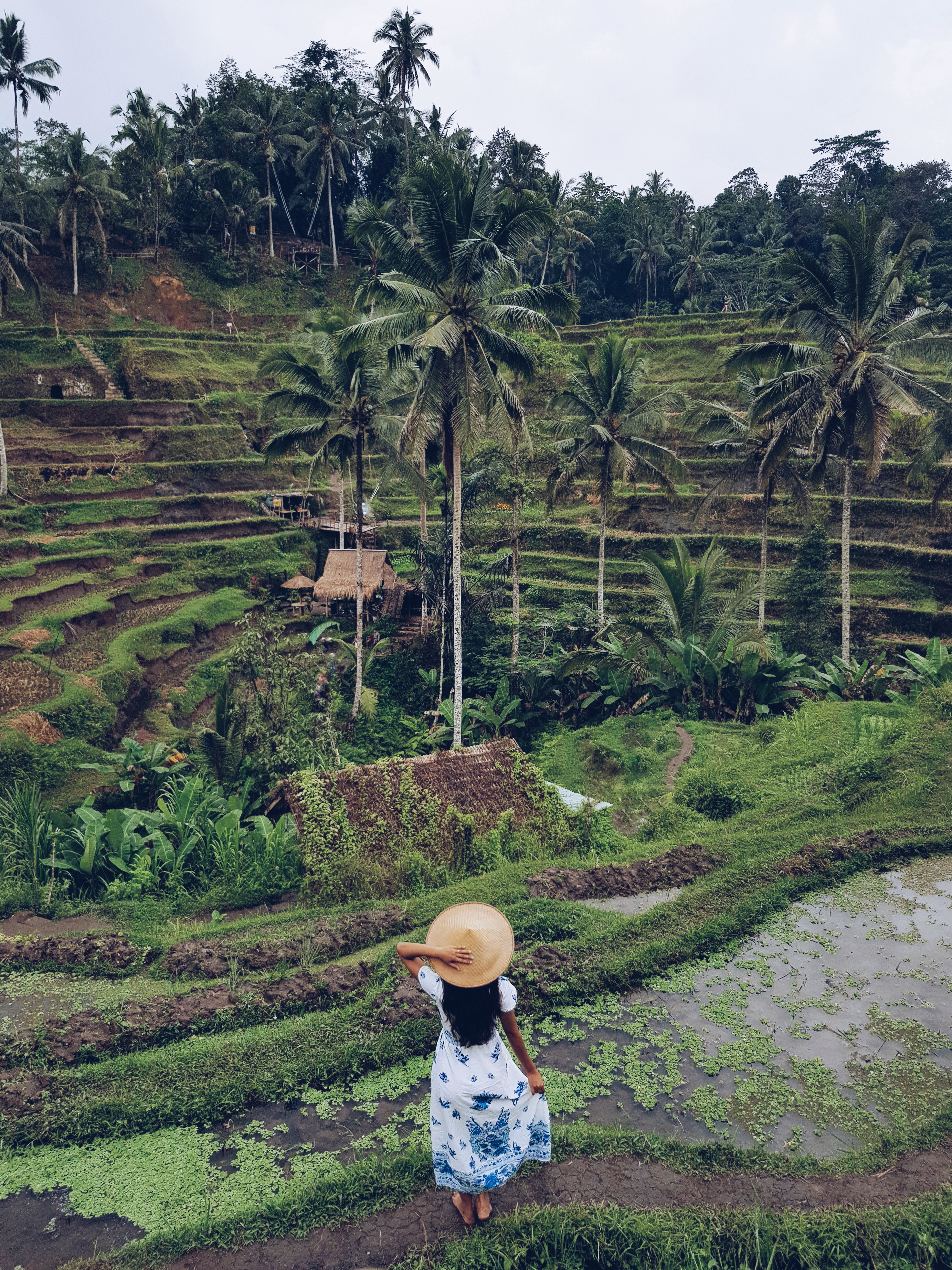 A Guide to Ubud Bali Itinerary Tegalalang Rice Terrace