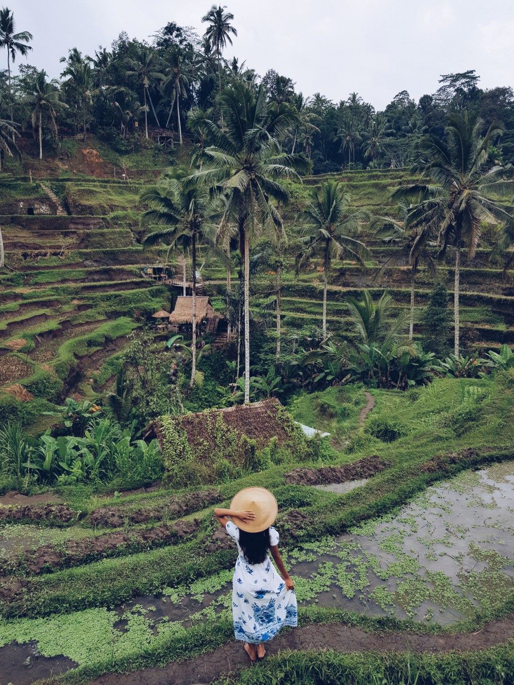 A Guide to Ubud: Eat, Explore,&nbsp;Love