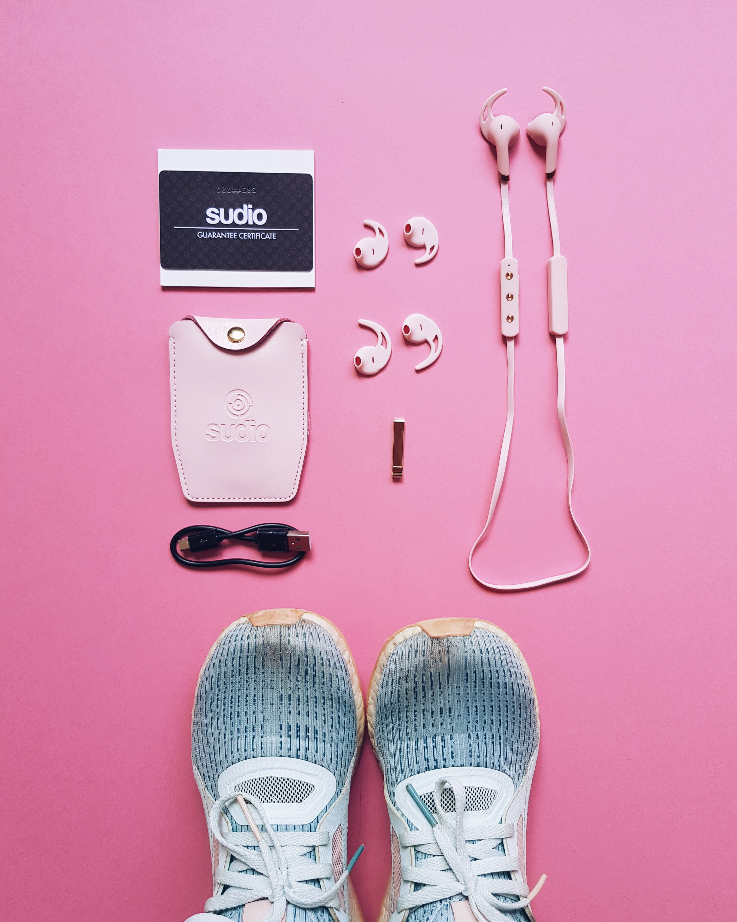 Stay Active with Sudio Tre Wireless Earphones