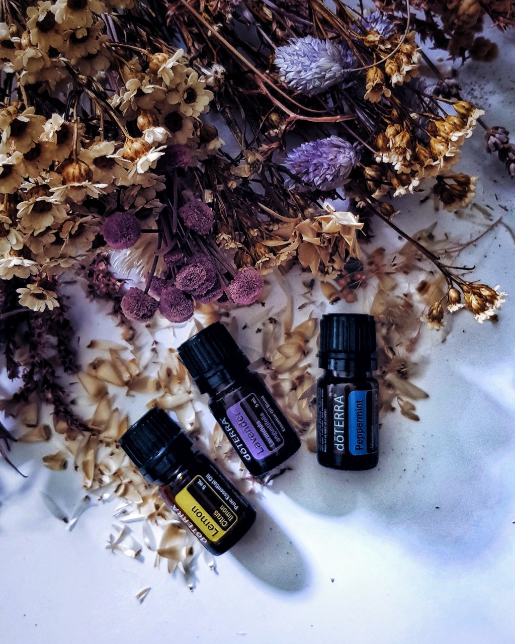 A Guide to Essential Oils for&nbsp;Beginners