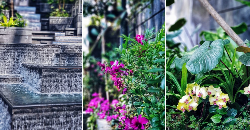 A Guide to Jewel Changi Airport