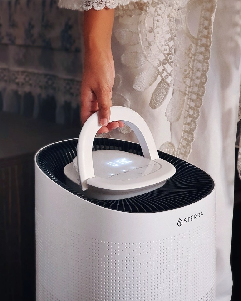 Sterra Breeze Air Purifier Review