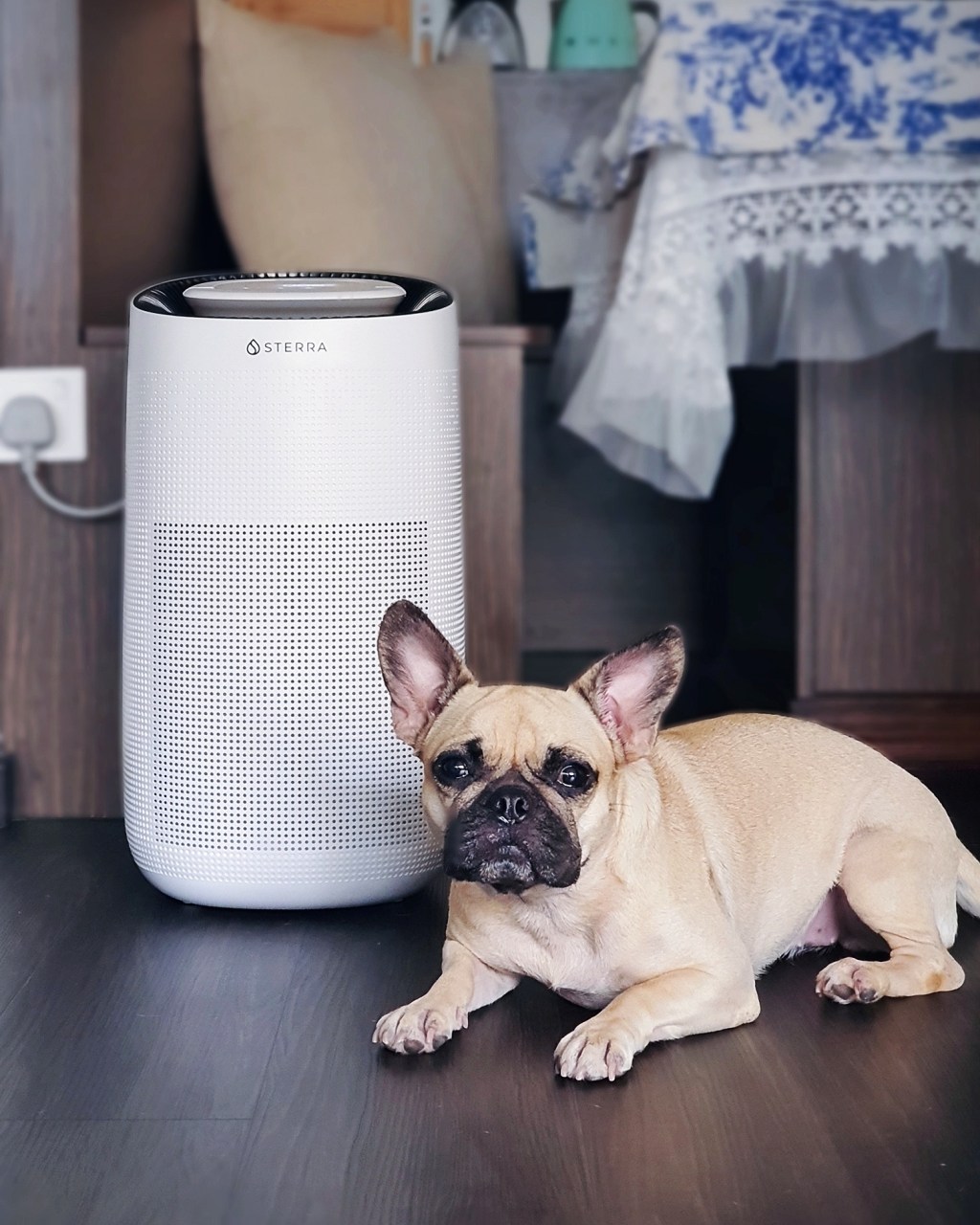 Sterra Breeze Air&nbsp;Purifier