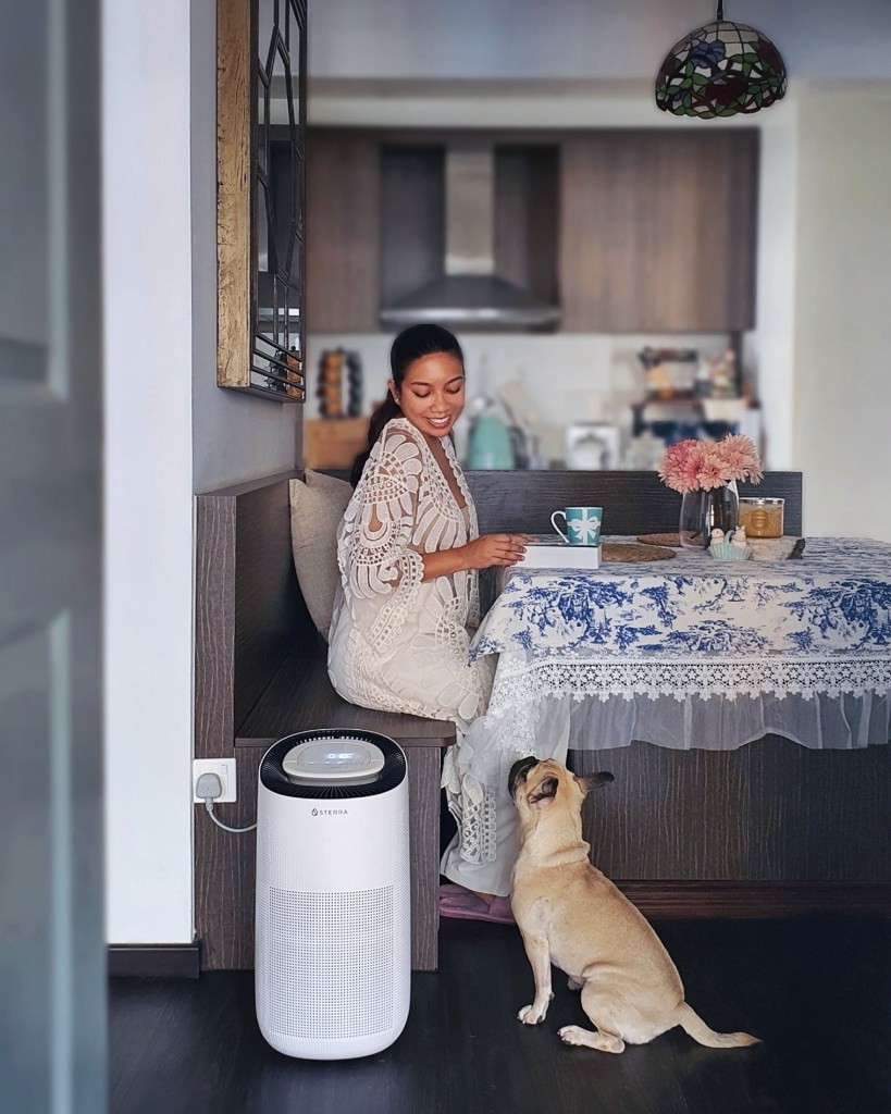 Sterra Breeze Air Purifier Review