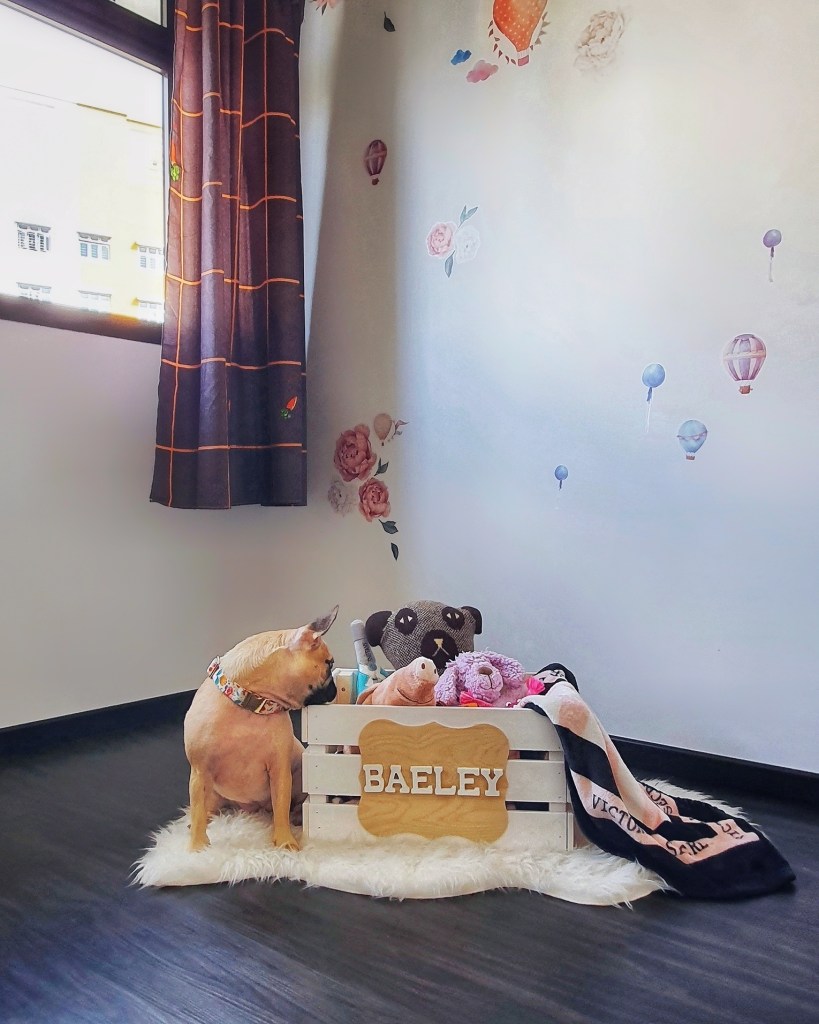 Home Catalogue for HDB BTO Dog's Room