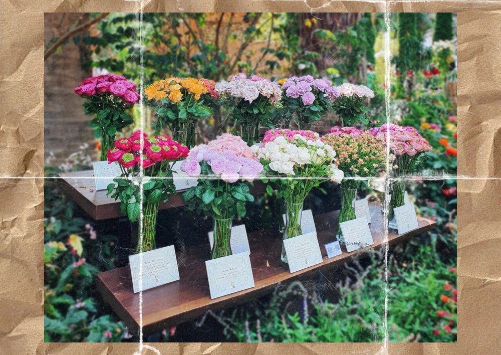 Rose Romance at Gardens by the Bay