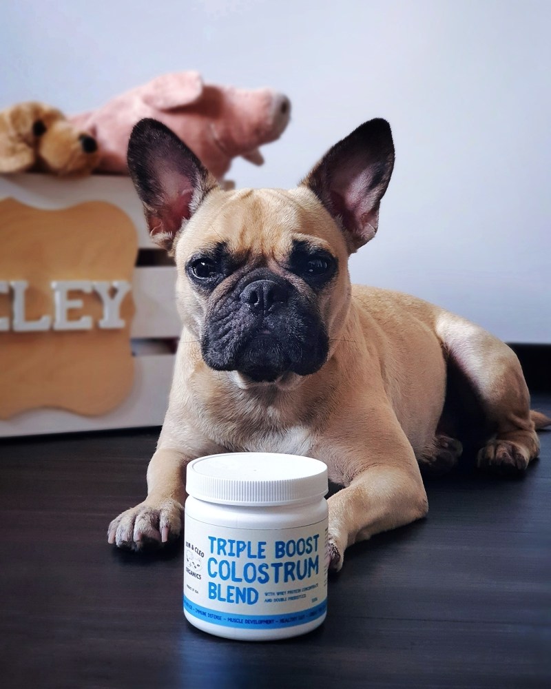 Dom & Cleo Pet Supplements for Allergies and Digestive Health from Pawff