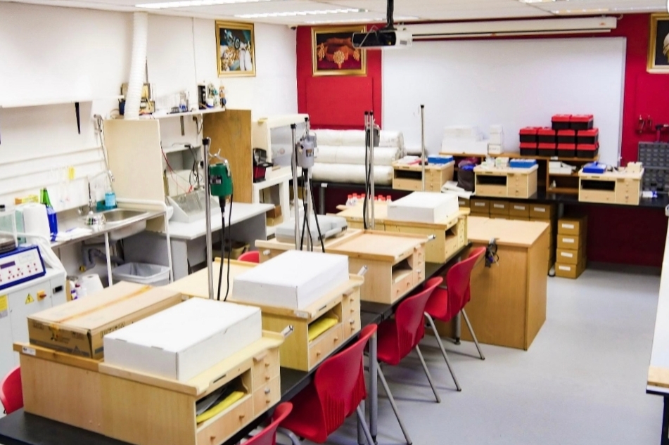 Jewellery Design & Management International School (JDMIS)