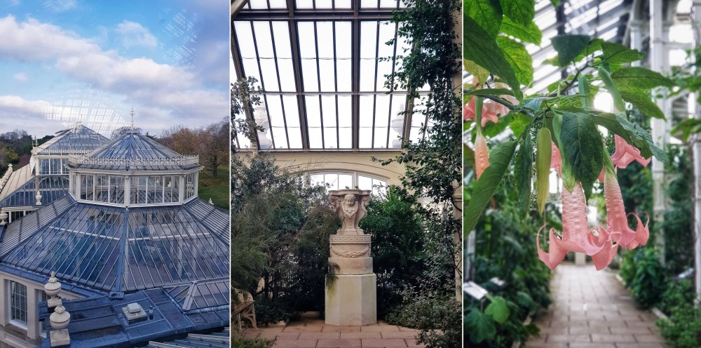 A Guide to Kew Gardens Temperate House