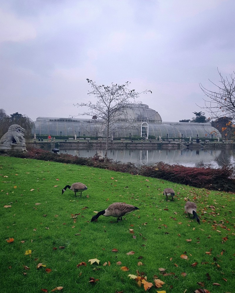 A Guide to Kew Gardens The Palm House