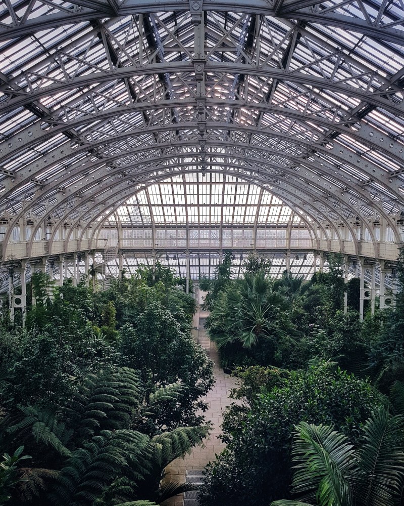 A Guide to Kew Gardens Temperate House