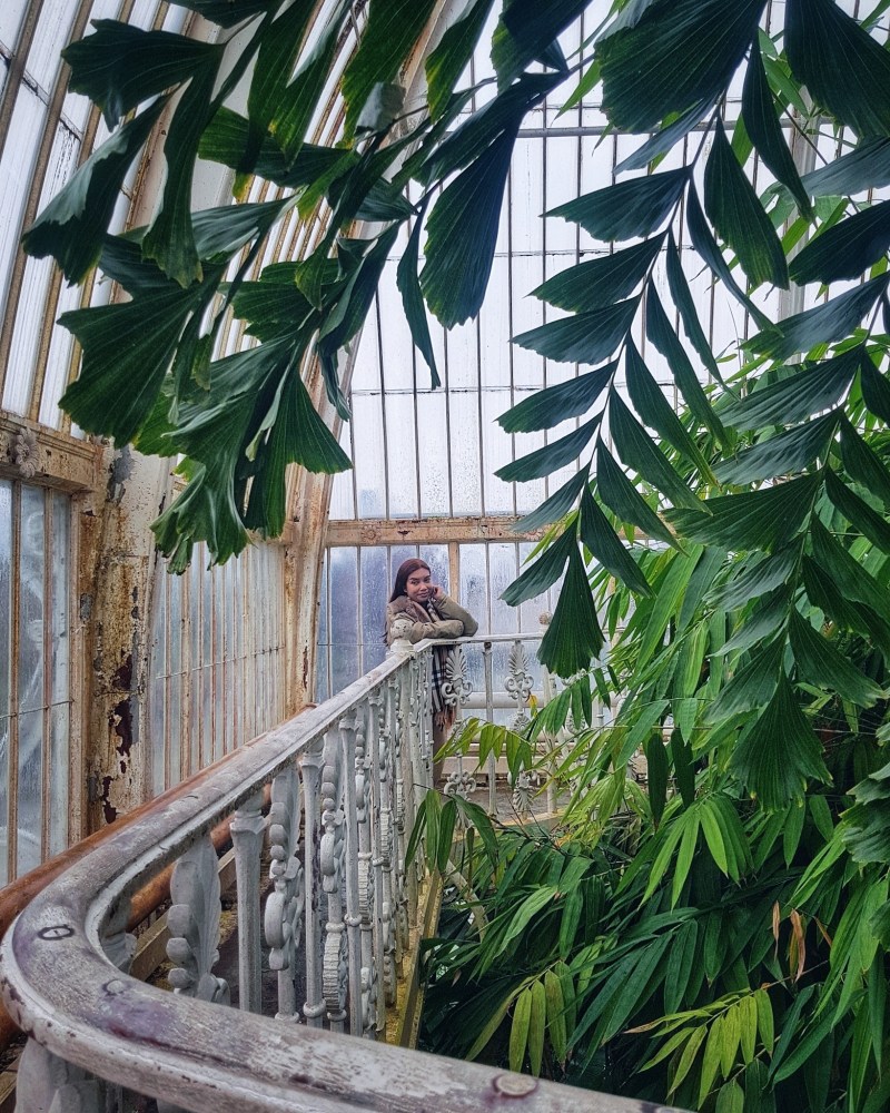 A Guide to Kew Gardens The Palm House