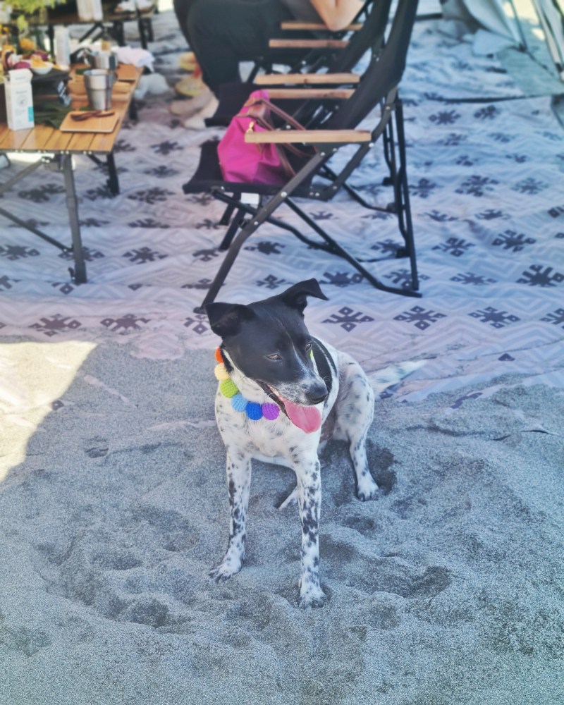 Silks Place Taroko Activities Summer Beach Picnic Review