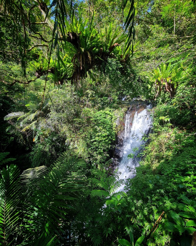 Wellspring by Silks Jioaxi Yilan Linmei Shipan Trail Review