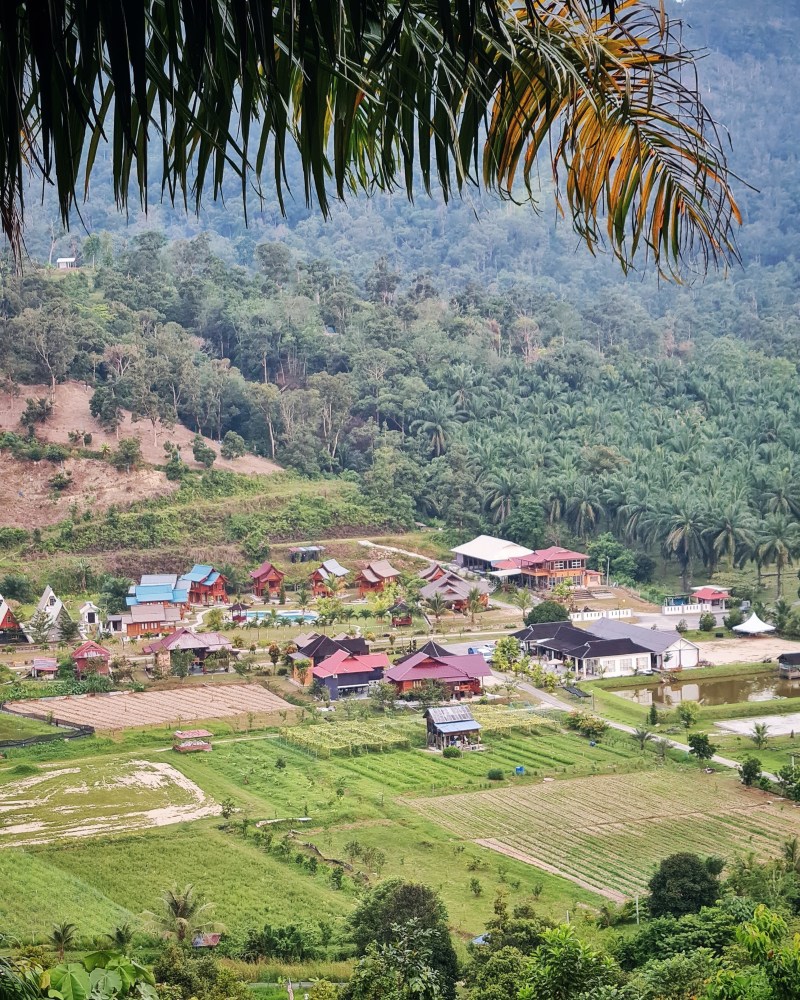 Farmstay Relau: An Authentic Malaysian Kampong Stay in Kedah