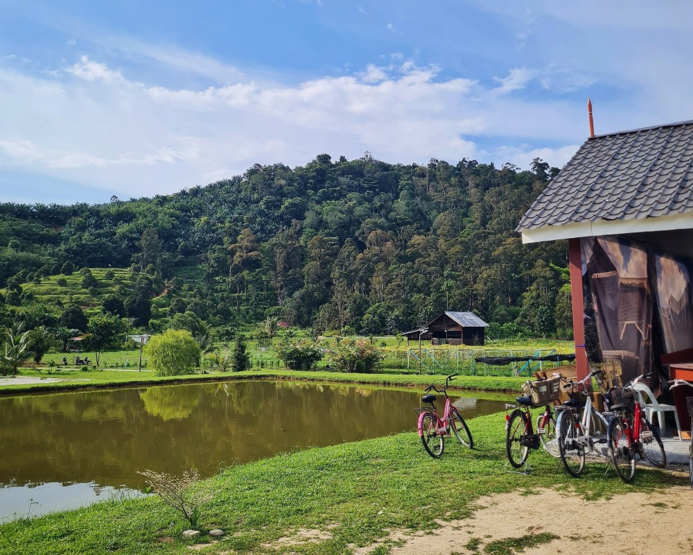 Farmstay Relau: An Authentic Malaysian Kampong Stay in Kedah