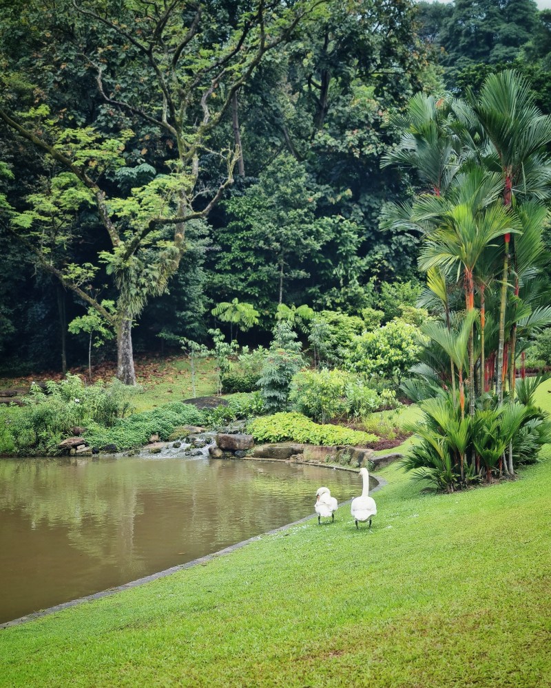 The Istana Singapore Open House