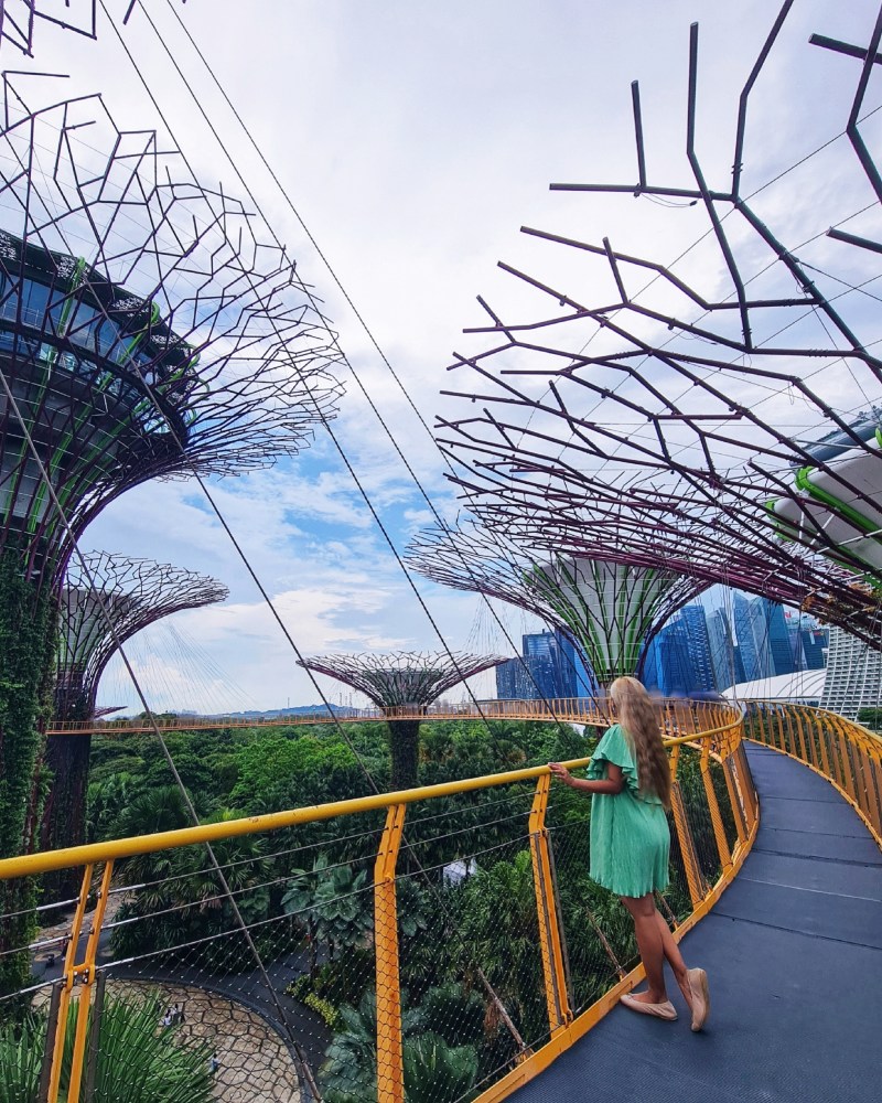Janice Wong Pure Imagination Cafe at Supertree Observatory Gardens by the Bay