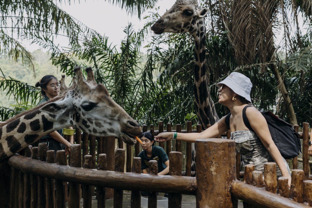 Klook Kreatorverse 2024 Experience Day